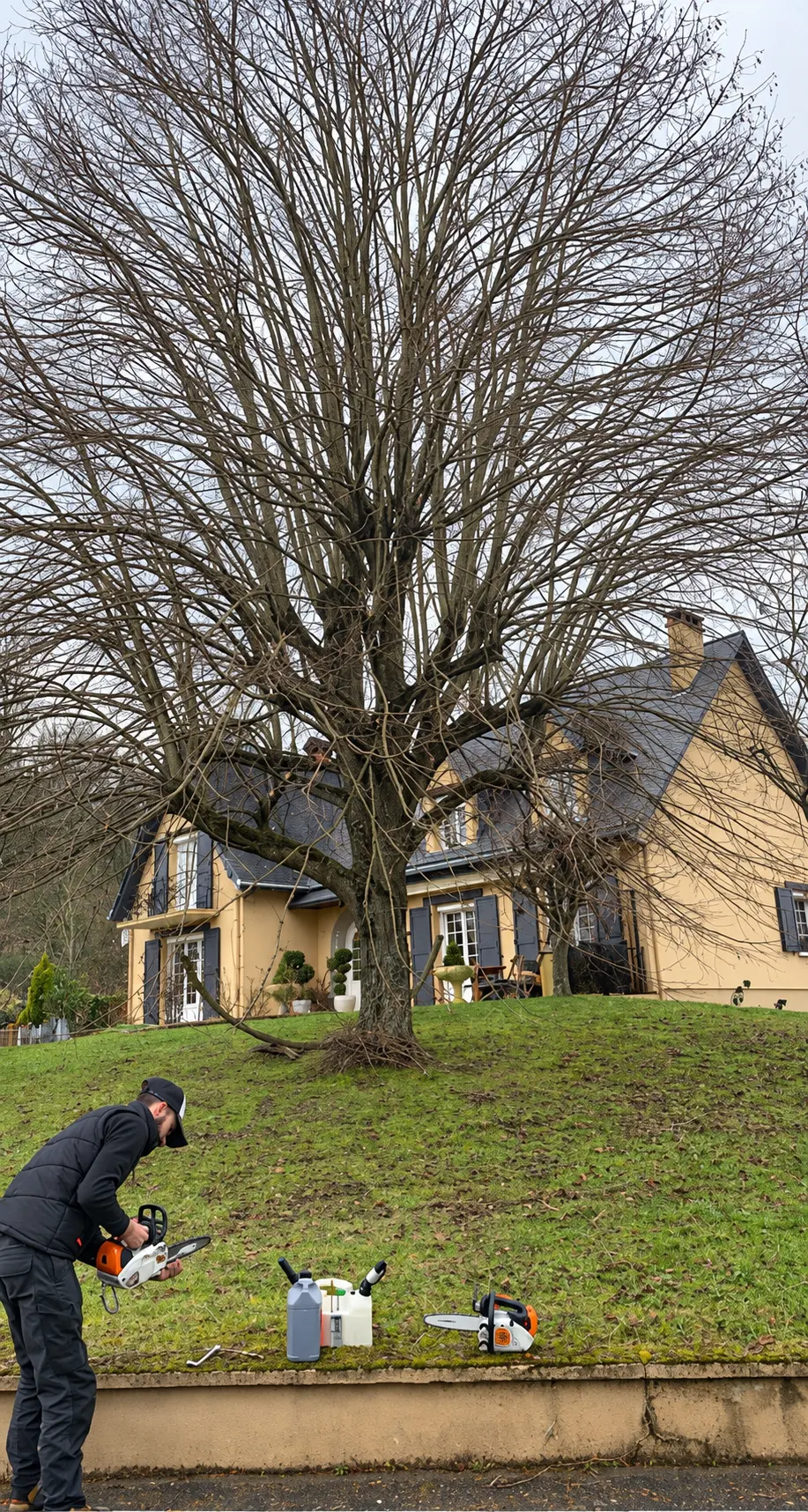 Élagueur qui prépare sa tronçonneuse au pied d'un grand tilleul
